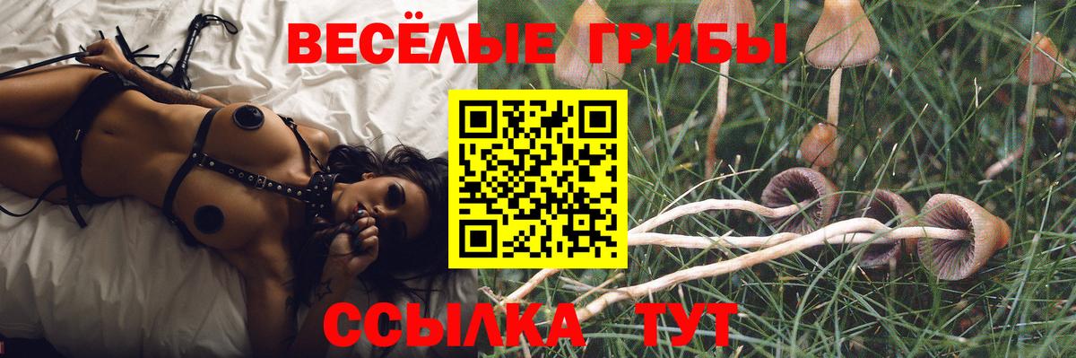 Галлюциногенные грибы GOLDEN TEACHER  Псилоцибиновые грибы мухоморы  Ипатово  Вход с VPN 