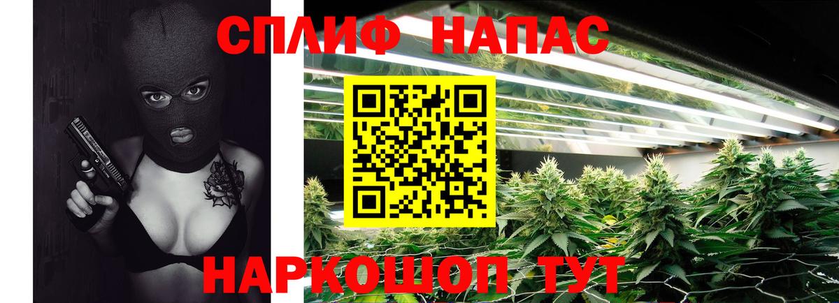 Бошки марихуана марихуана Ипатово